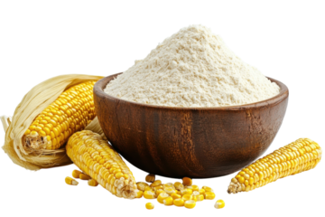 Golden corn cobs kernels and fine flour in rustic wood bowl Healthy gluten on transparent background