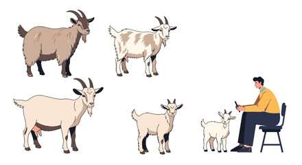 Fototapeta premium Collection of different goats shown in various sizes alongside a man sitting on a chair and using his smartphone near a small goat.