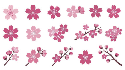 Obraz premium multiple flower and branch variations