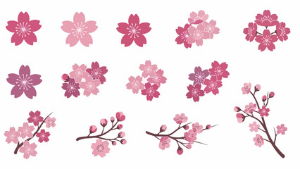 multiple flower and branch variations