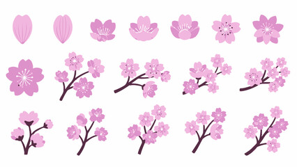 multiple flower and branch variations
