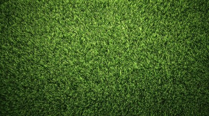 Obraz premium Top view of lush green grass lawn texture background