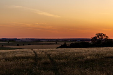 Salisbury plain at sunset, Image shows the empty fields across the plain during golden hour of sunset