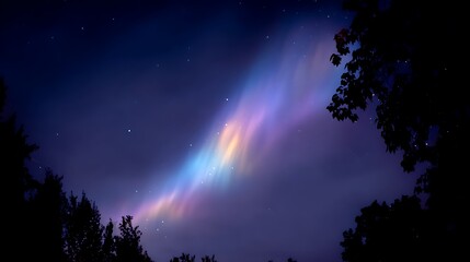 Magical Aurora Borealis Dancing in the Night Sky Above Trees.