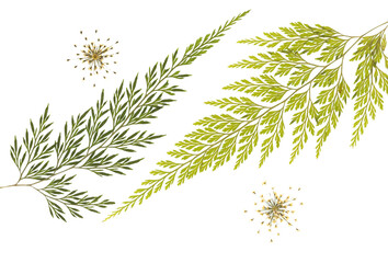 Motyw florystyczny, liście na białym tle, karta, dekoracja, zaproszenie.