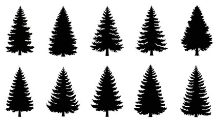 Vector set of isolated green Christmas trees and forest fern leaves featuring pine, fir, and winter nature plant elements for holiday celebration design © Wida
