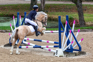 Young female competing in a show jumping competition,  Image shows a 27 year old Caucasian girl jumping over poles with her palomino section c Welsh cob stallion 
