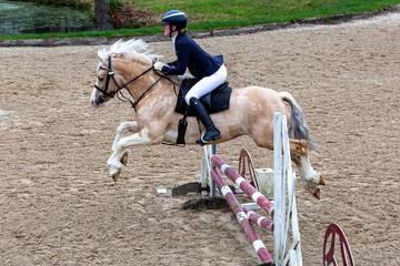 Young female competing in a show jumping competition,  Image shows a 27 year old Caucasian girl jumping over poles with her palomino section c Welsh cob stallion 