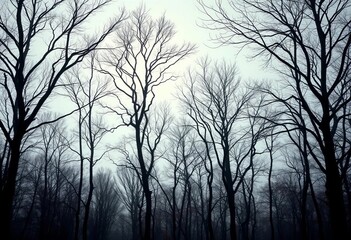 Autumnal trees stripped bare, their skeletal forms etched against a soft, diffused light, melancholy, bare trees,  silhouette