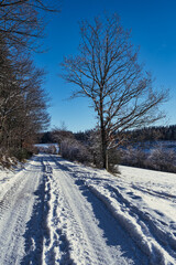 A snow-covered path in the Taunus Mountains on a sunny winter day