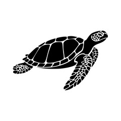 Black sea turtle swimming in ocean waters majestically