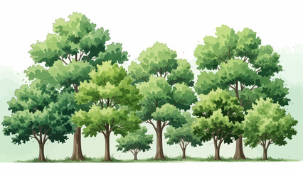 Watercolor style illustration depicting a lush group of trees with varied green foliage