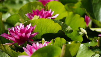 OLYMPUS DIGITAL CAMERA © Marta