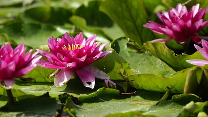 OLYMPUS DIGITAL CAMERA © Marta