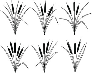 Cattail plant silhouette, black botanical icons, wetland grass vector, nature foliage design, marsh reed illustration, aquatic vegetation graphic art © MdHasan