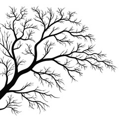 Fototapeta premium Silhouette of a Bare Tree Branching Outwards on White Background Keywords: tree, silhouette, bare, branches, branching, winter, autumn, dark, black, white, isolated, graphic, design, nature