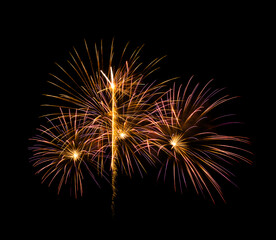 Colorful firework sparkling on black background for celebration and anniversary