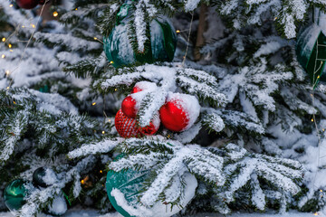 Snow covered Christmas ornaments on evergreen branches