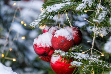 Snow covered Christmas ornaments on evergreen branches