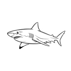 Fototapeta premium Illustrated great white shark isolated on white background, illustration