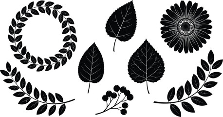 Botanical leaves and wreath silhouettes set, floral elements isolated on white background, nature decoration concept black vector illustration collection editable © Masuduzzaman
