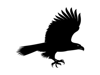 Flying eagle silhouette vector graphic illustration majestic bird of prey with outstretched wings and powerful talons hunting posture wildlife animal isolated on white background
