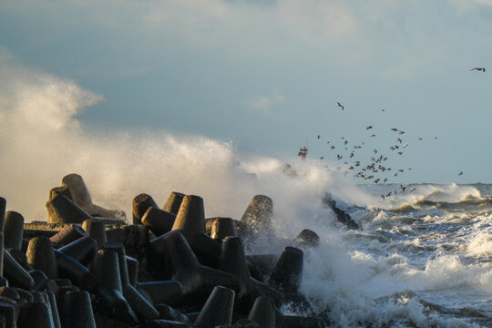 Powerful storm waves crashing on coastal breakwater with flying seabirds near Liepaja, Baltic Sea