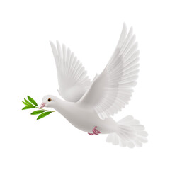 Obraz premium White peace dove flying with green olive branch leaf in beak, spiritual symbol of freedom and hope, realistic bird isolated on transparent background