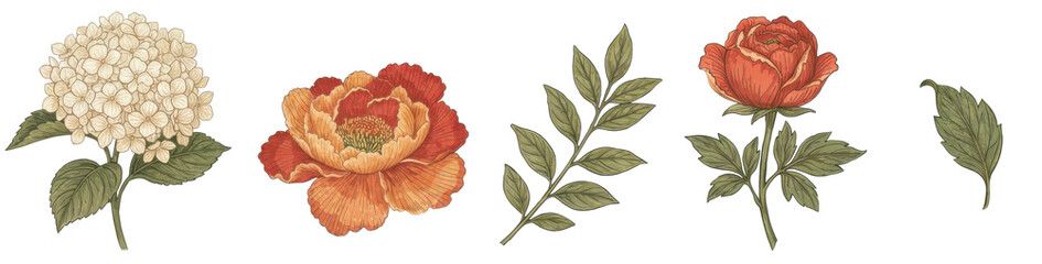 Vintage Botanical Floral Clipart, Cottagecore Floral Clip art, Wildflower Design Elements Isolated , Retro Flower Graphics Download