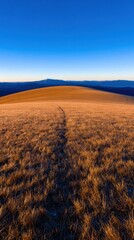 Path of Serenity: An endless path winds through a golden field, under a flawless gradient sky, inviting contemplation and wonder.