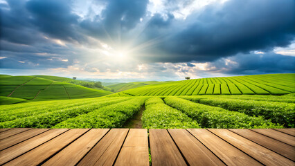 Serene green fields under stormy sky