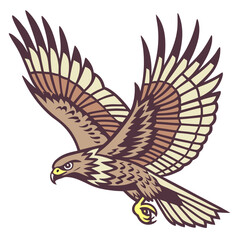 Obraz premium A majestic hawk soars with outstretched wings exhibiting detailed feather patterns and a focused predatory gaze in flight