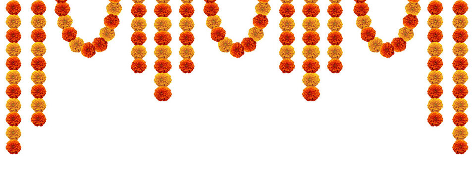 Marigold hanging flower top design element