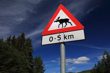 Moose wildlife crossing warning sign at a mountain road in Setesdal valley in Agder county, Norway.