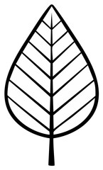 Stylized Outline of a Simple Oval Leaf with Veins and Stem Simple Illustration