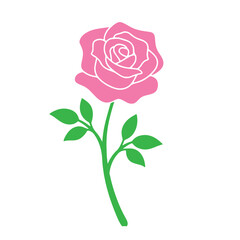 pink rose with leaves