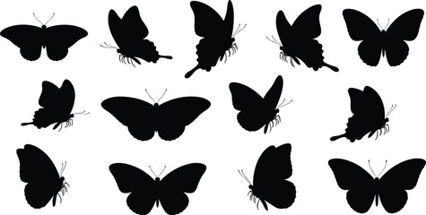 Butterfly silhouette icon set, insect wings, nature vector, species variation, black pictogram, entomology graphic, flying pose, decorative illustration © MDMAHOMUDUL