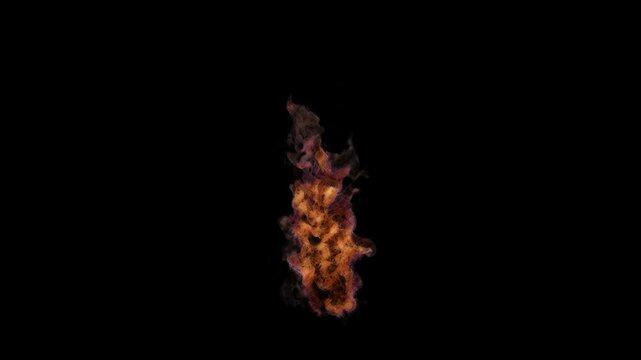 Looping fire sketch version. 3D generated animation fx. Has alpha channel (ProRes, 4K only) for easy compositing.
