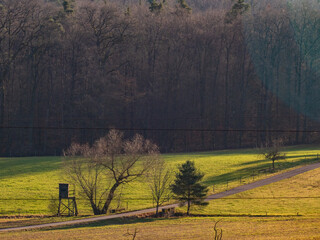 Fototapeta premium Hoch und Jägersitz im Feld