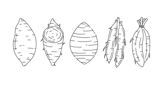 Black and white line art of sweet potatoes and yams