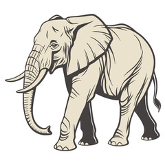 Majestic Elephant Wildlife Vector Illustration