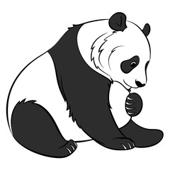 Cute Panda Bear Wildlife Vector Illustration