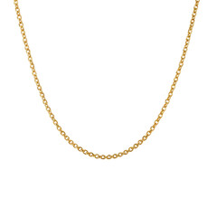 Simple Gold Chain Necklace Displayed on a White Background for Sale in a Jewelry Store