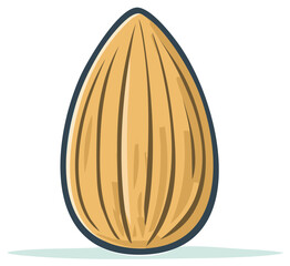 Nutritional Almond with Vertical Lines Textured Surface and Dark Outline