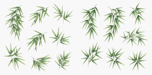 Fototapeta premium Set of isolated green bamboo leaves and branches on transparent background.