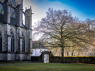 Tor zum Kirchhof mit altem Baum