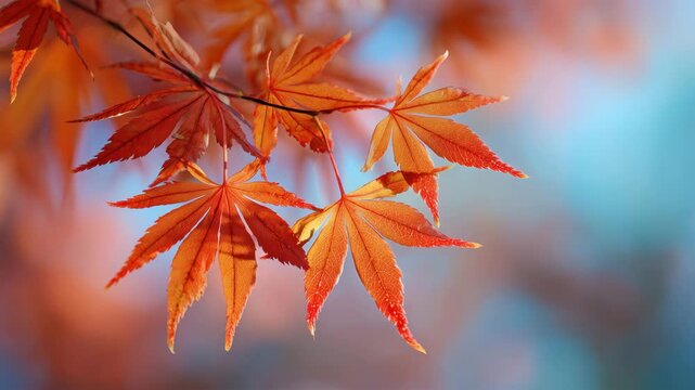 前景の紅葉が柔らかく輝く穏やかな秋の景色