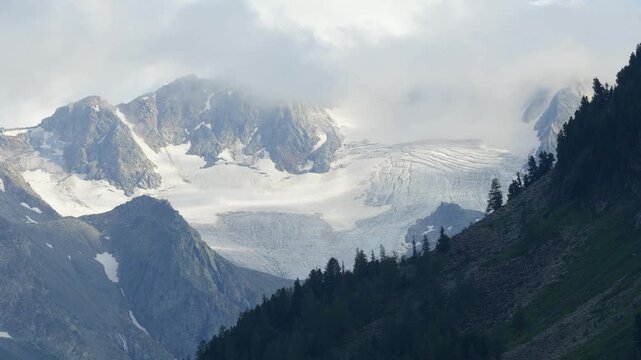 Picturesque mountain valley with forest and snow-capped mountains in the background