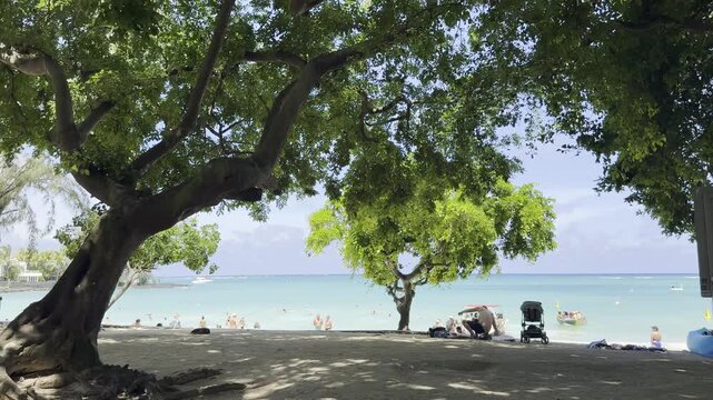 Mauritius Pereybere beach, Mauritius island life, palm tree, magnificent turquoise blue crystal waters visible through tropical palm trees and the endless blue of the Indian ocean.	