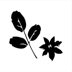 Empty vector file display